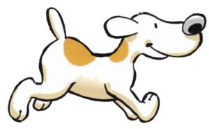 Hond