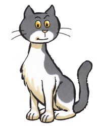 Kat